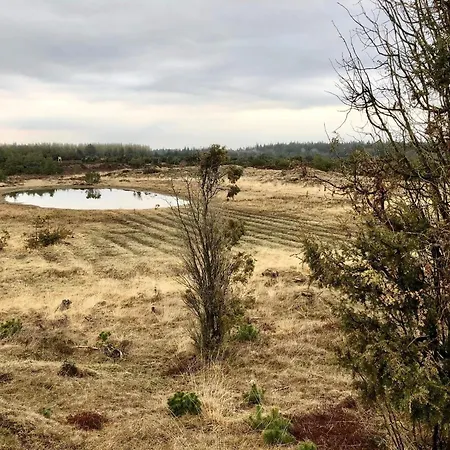 5 Person In בית נופש