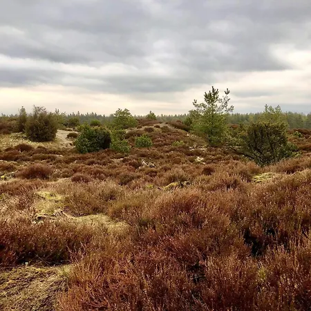 5 Person In בית נופש הובבורג